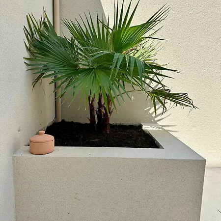 Charmante Maison Avec Terrasse Hébergement de vacances *