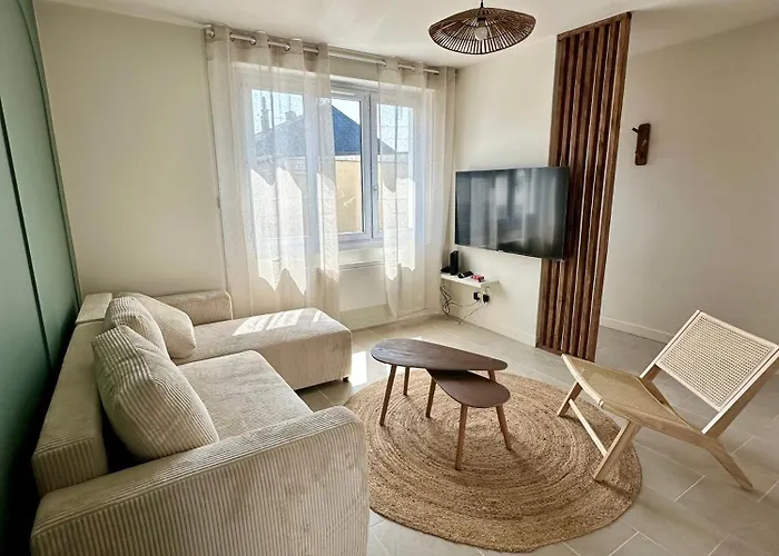 Charmante Maison Avec Terrasse * Angers